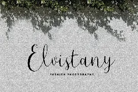 Neermias Modern Calligraphy font