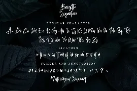 Brigitta Signature font