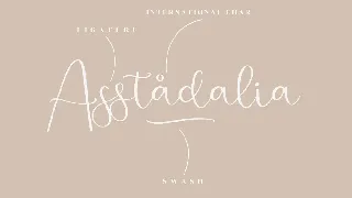 Jelystta Modern Script Font