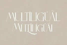 Literacy Display Serif Font