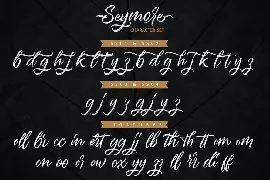 Seymore â€“ Brush Script Font