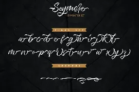 Seymore â€“ Brush Script Font