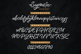 Seymore â€“ Brush Script Font