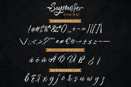 Seymore â€“ Brush Script Font