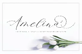 Amelina Script font