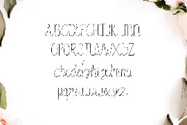 Amidala Script Font