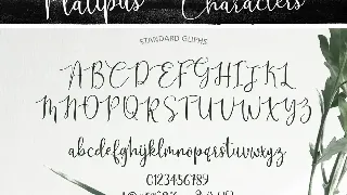 Platipus Script font