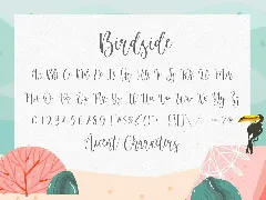 Birdside Script Font