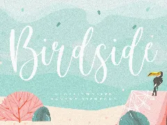 Birdside Script Font