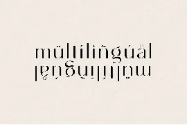 Modern Elegant Font