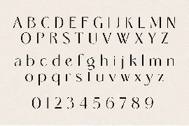 Modern Elegant Font