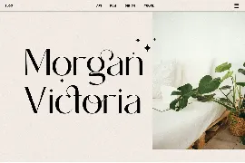 Modern Elegant Font