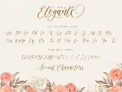 Elegante Script Font