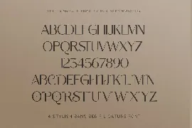 Northern Worssley - Ligature Sans font