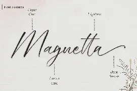 Brigatta - Signature Font