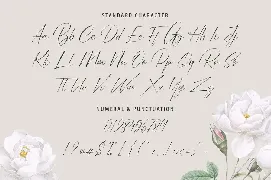 Brigatta - Signature Font