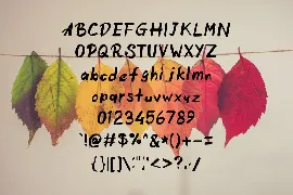 Fallnex Handwritten Font