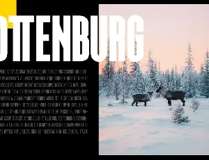 Ottenburg Display Typeface font