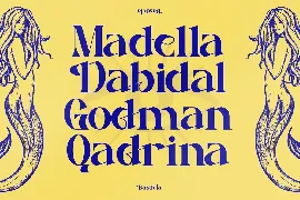 Basdela Serif Typeface font