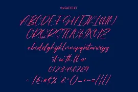 Roche Shirt Script Font