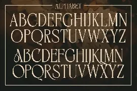 BIKAVE - A Modern Display Font