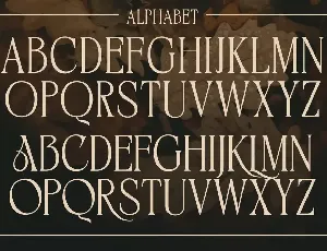 BIKAVE - A Modern Display Font