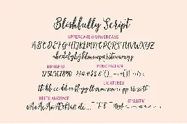 Blishfully Font Duo