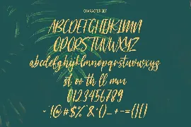 Meganfoxy Script Font