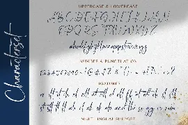 Tajur Puncak - Handwritten Font