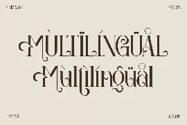 Amegap Stylish Serif Font