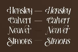 Amegap Stylish Serif Font