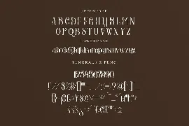 Amegap Stylish Serif Font