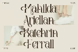 Amegap Stylish Serif Font