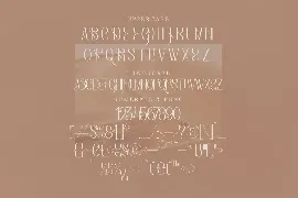 Bagias Stylish Serif Font