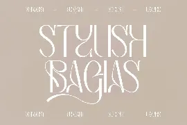 Bagias Stylish Serif Font