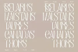 Bagias Stylish Serif Font