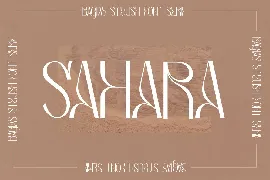 Bagias Stylish Serif Font