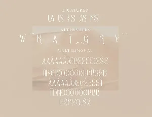 Bagias Stylish Serif Font