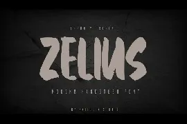 Zelius - Modern Handbrush Font