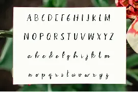 Natalee Brush Font