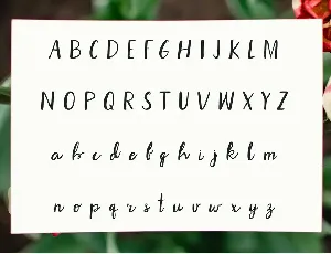 Natalee Brush Font