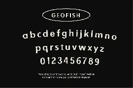 Geofish Vintage Font