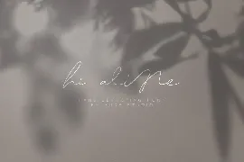 Hi Aline font