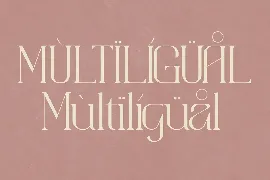 Aimstesa Display Serif Font