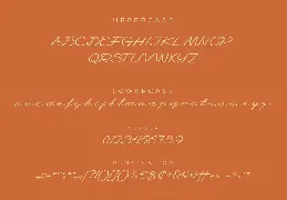 Felicia font