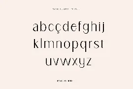 Naomi Elegant Typeface font