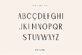 Naomi Elegant Typeface font