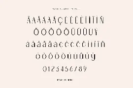 Naomi Elegant Typeface font