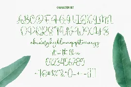 Citrus Cycle Script Font