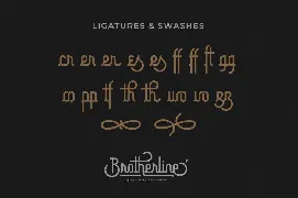 Brotherline font